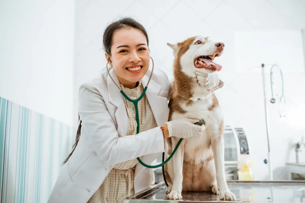 Médica veterinária asiática sorridente ao lado de um cachorro